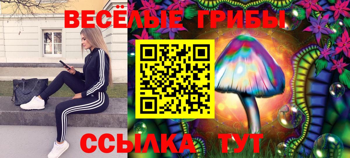 Галлюциногенные грибы мицелий Усолье-Сибирское
